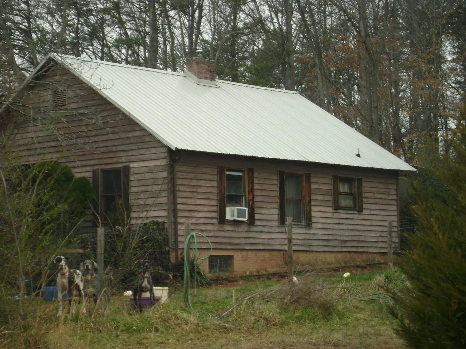 White metal roof on an old wood sided farmhouse, from a Asphalt Shingle Roof Repair job in Fillmore